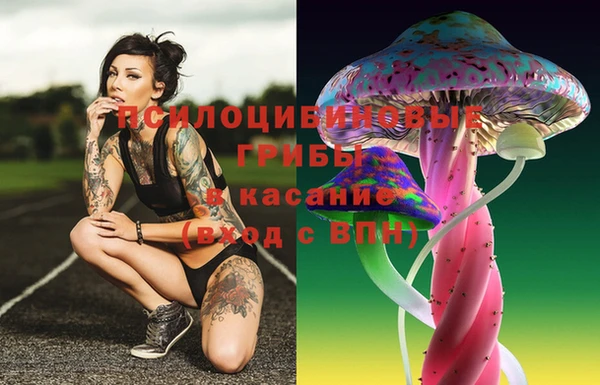 марихуана Бородино